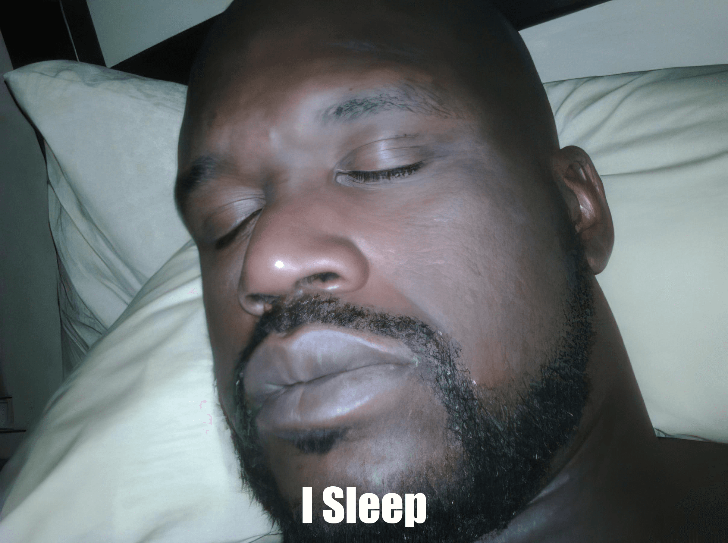 I Sleep Meme